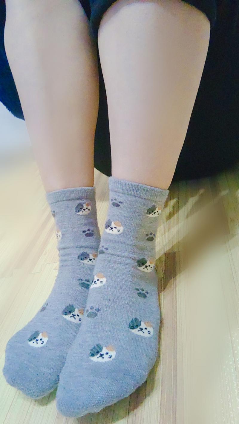出品者名-写真