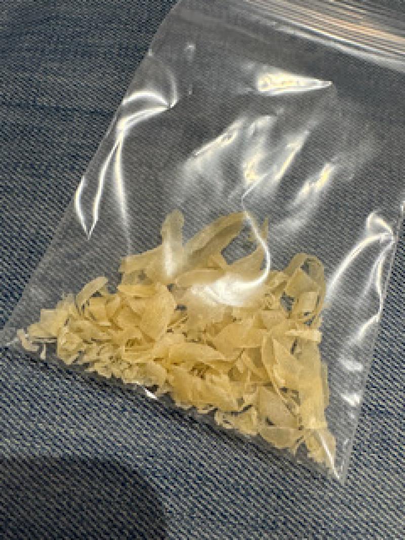 出品者名-写真-1