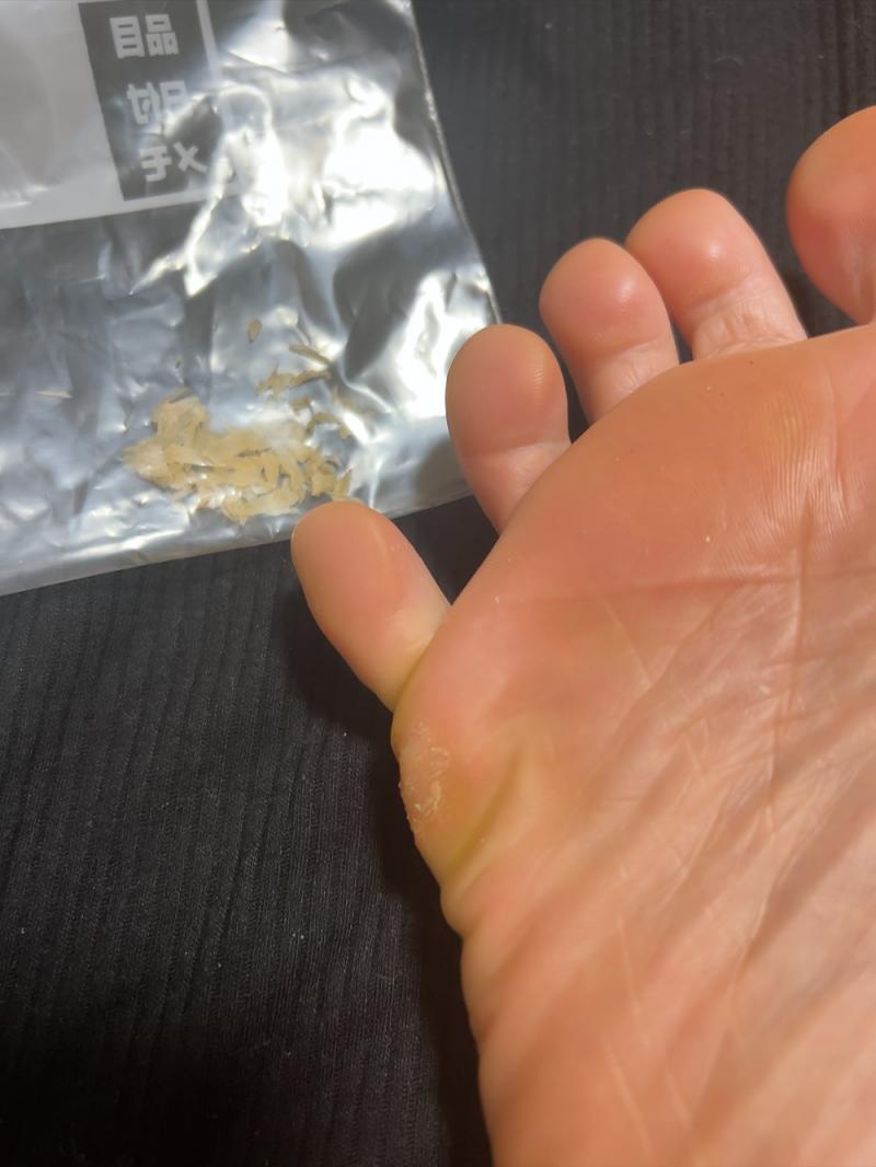 出品者名-写真-1