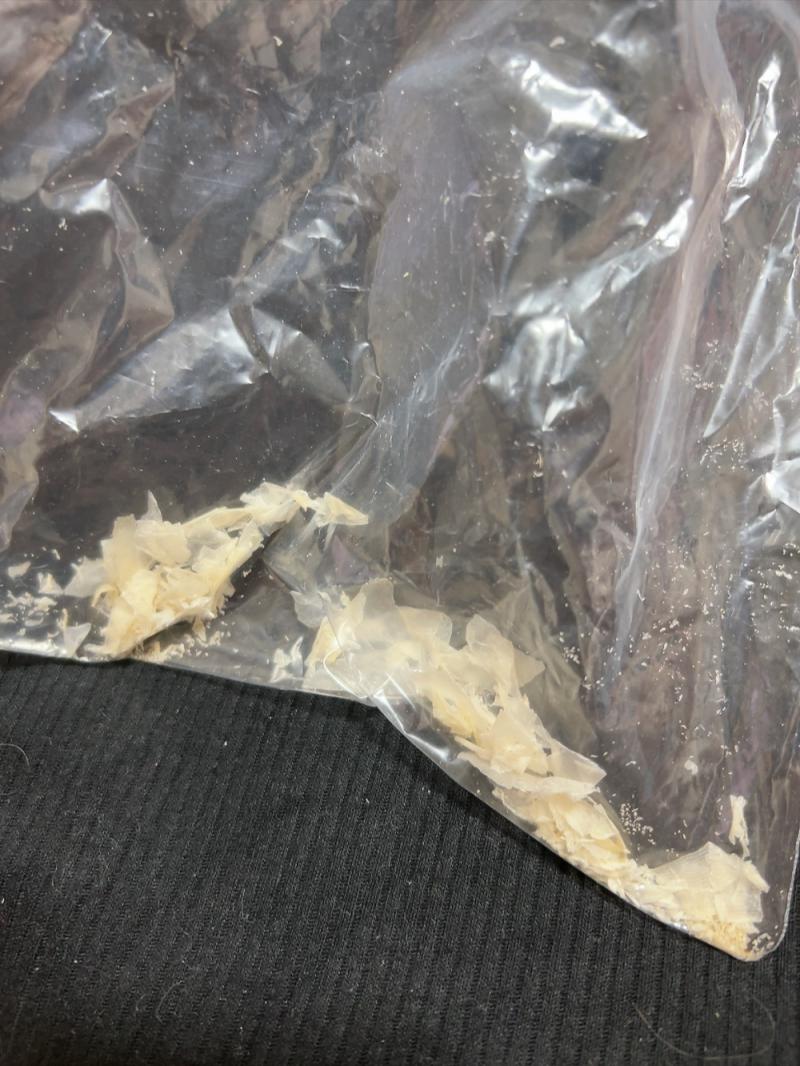 出品者名-写真-1