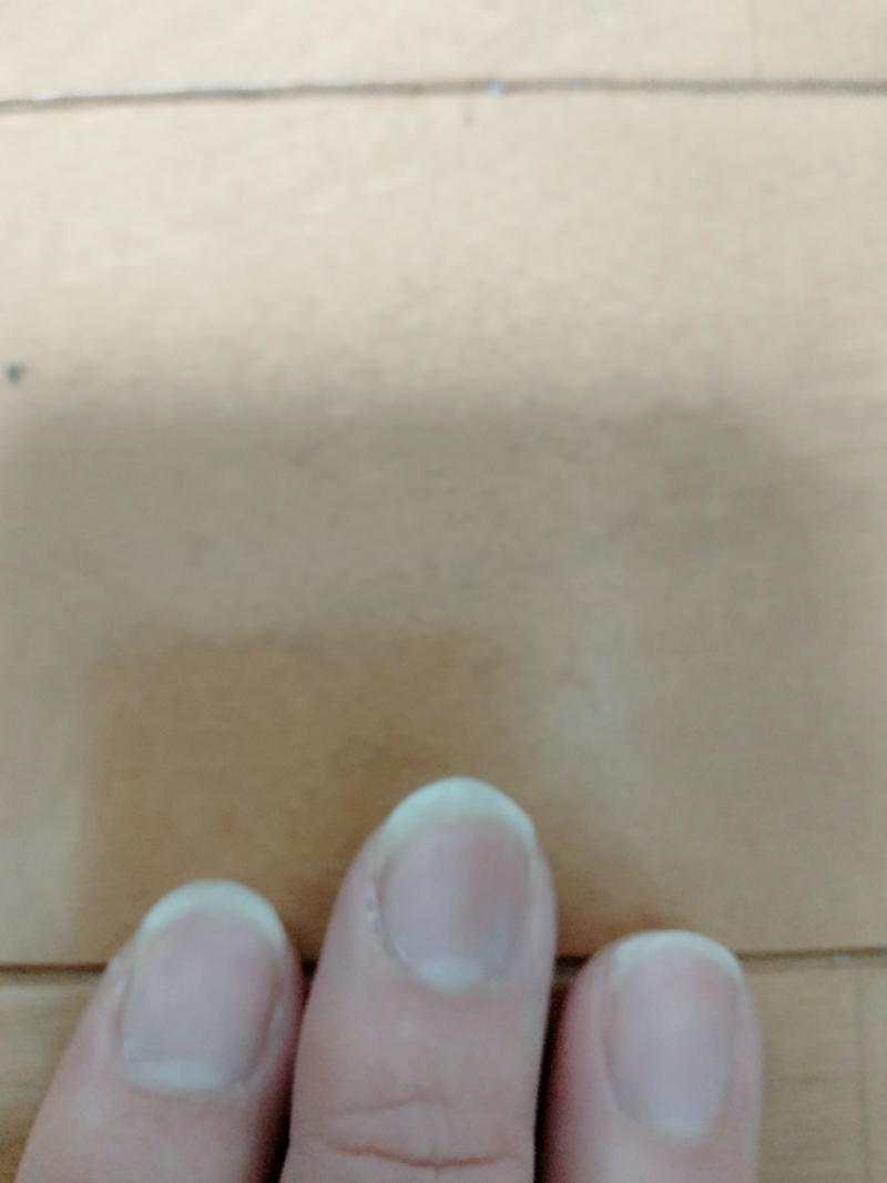 出品者名-写真-1