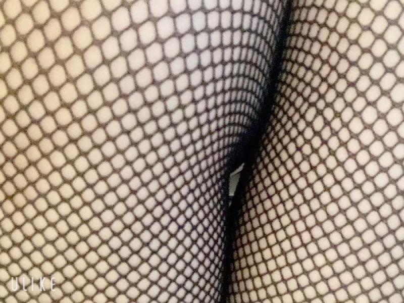 出品者名-写真-1