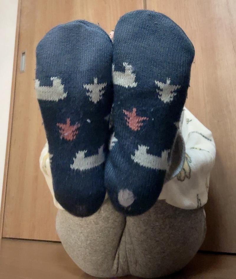 出品者名-写真