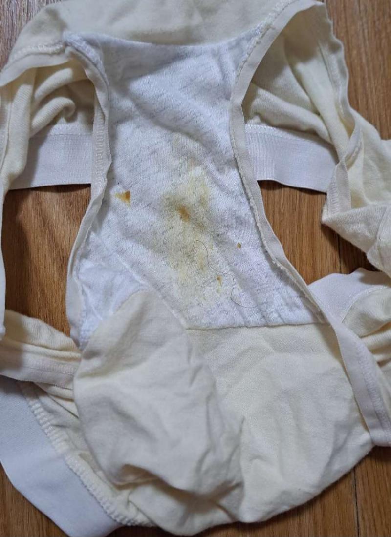 出品者名-写真-1