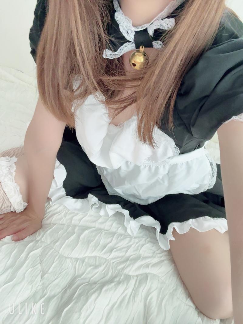 出品者名-写真