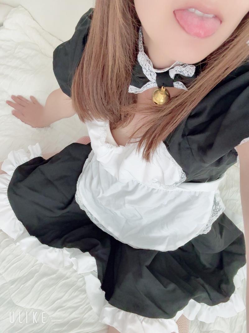 出品者名-写真-1