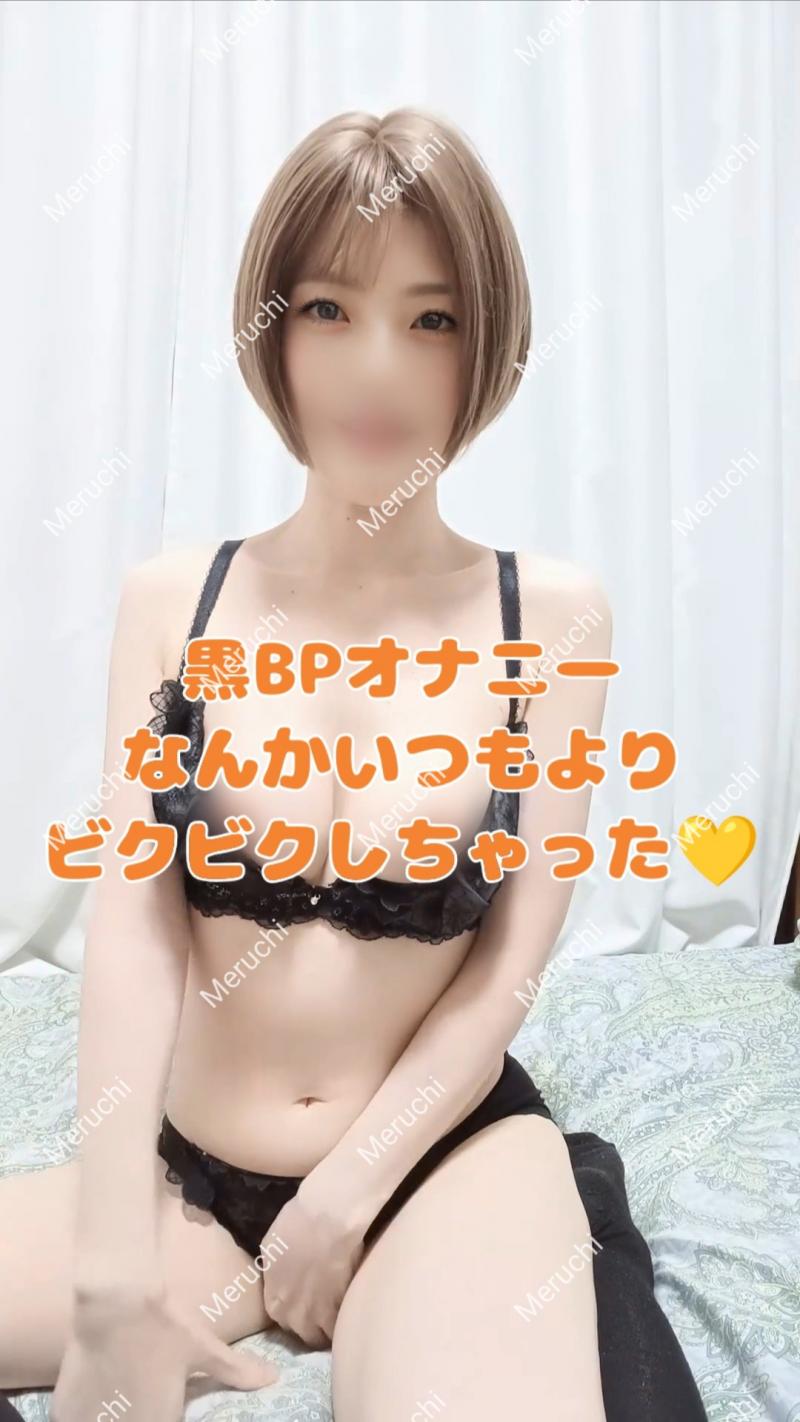 出品者名-写真