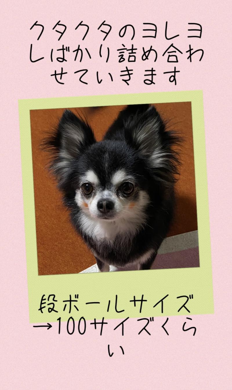 出品者名-写真