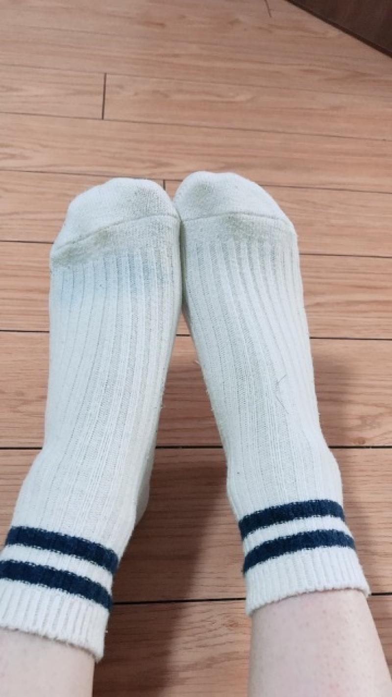 出品者名-写真-1