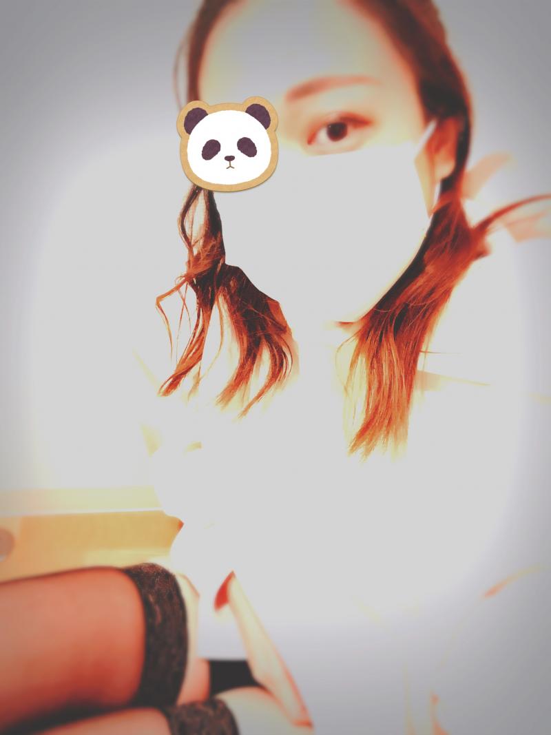 出品者名-写真