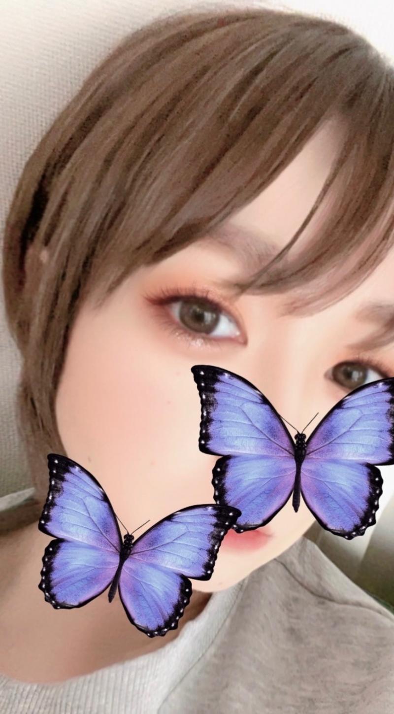 出品者名-写真